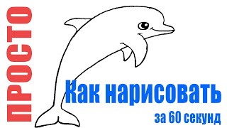 Как нарисовать дельфина карандашом легко и просто (рисуем поэтапно)