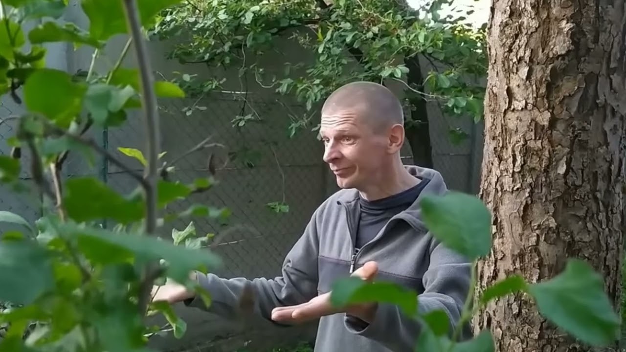 Afera remontowa [OBSZAR BADAWCZY SZKOLNA 17 REUPLOAD]