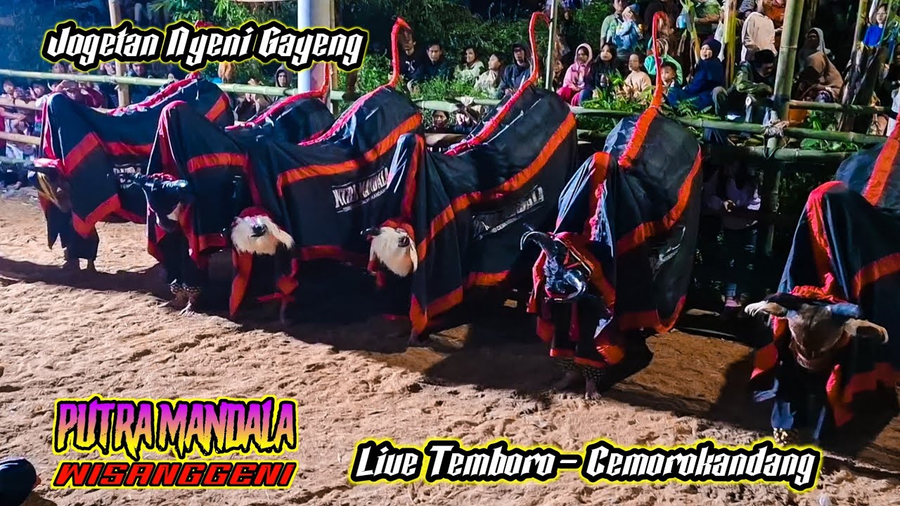 PUTRA MANDALA lhoo ikii ‼️ kreasi jogetan gayeng terbaru || Live temboro - cemoro kandang