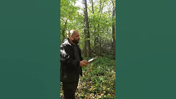 Что делать если белка утаскивает ваш походный рюкзак