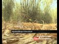 Kerala Budget neglect puthur Zoological