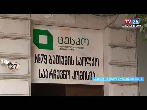 ბათუმის 79 ე ოლქში 4 საჩივარია შესული