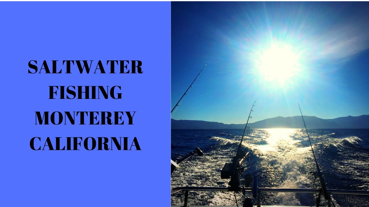 SALMON FISHING MONTEREY BAY!!! YouTube
