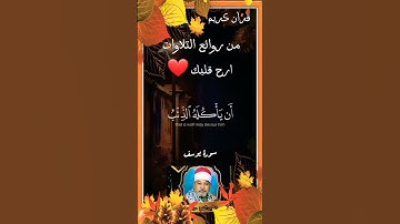 سيد سعيد || #تلاوة_خاشعة #ستوري_قرآن