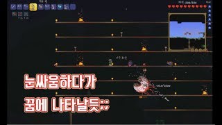 테라리아뉴비의 크툴루의눈 잡기 [대감자의 테라리아생존기 #1]
