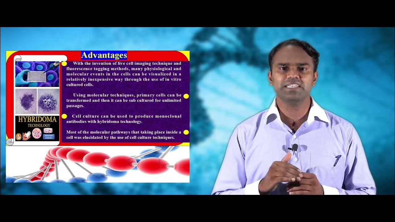 Advantages, Disadvantages & Ethical Issues | Series 6 | Basic