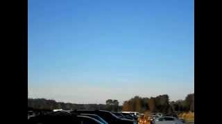 Pumpkin Patch Hot Air Balloons