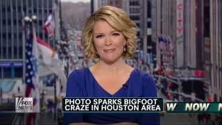 Bigfoot Photo Gets Houston Buzzing 2013 HQ
Check Out Our Web Site: http://www.adguk.co.uk/
ADG Facebook: http://www.facebook.com/pages/Alien-Disclosure-Group/189249627773146
Follow ADG on Twitter: http://twitter.com/ADG_UK Bigfoot Photo Gets Houston Buzzing 2013 HQ