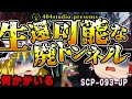 【ゆっくりSCP解説】正統派ホラーSCP「生還可能」とは?【SCP-093-JP:生還可能な廃トンネル】
