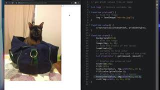Get and Set pixel values in p5js