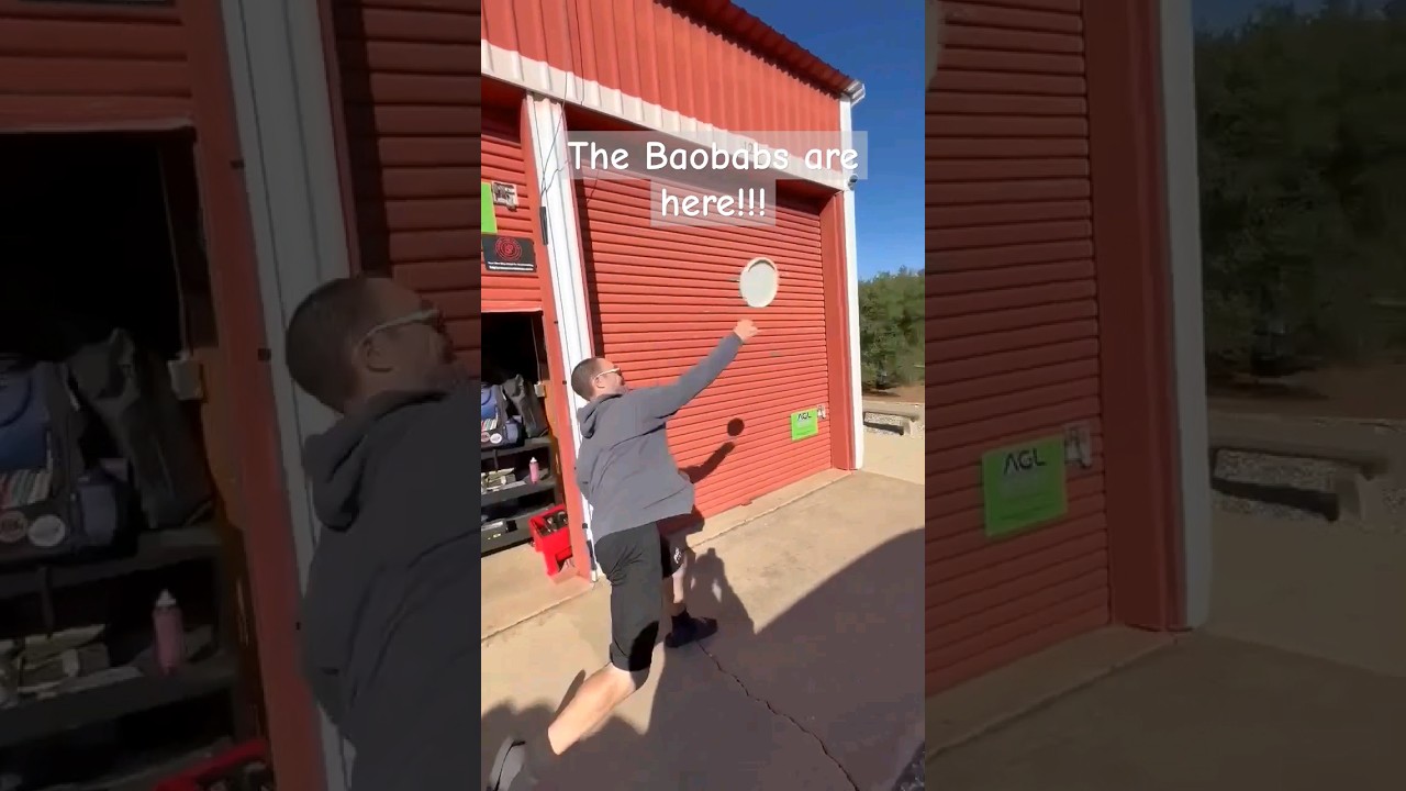 Baobabs Available Now!!!! 