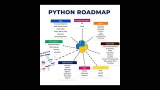 Python Roadmap #dasturchi #news #dasturlash #developer #newsvideo #python