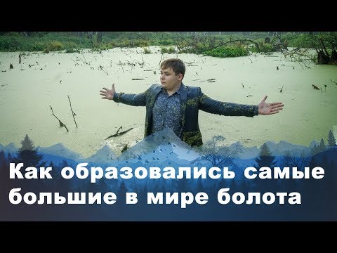 Как образовались самые большие в мире болота