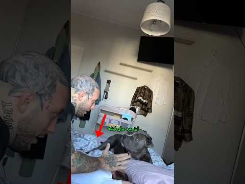 رابطه عجیب این سگ با دختر کوچولو فکت دانستنی عجیب