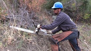 Mile High Youth Corps teams up with Denver Water