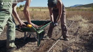 Climate Change Can Be a Simple Problem to Solve - Ecosystem Restoration Camps