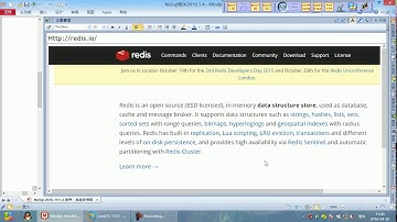 07 尚硅谷 Redis  安装
