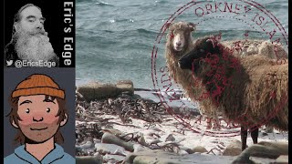 Erics Edge Livestream - Mail from Little Over the Water!