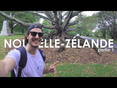 VOYAGER SEUL EN NOUVELLE-ZÉLANDE