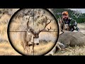 Black Hills Public Land Monster Mule Deer | Wyoming 2020 | 4K