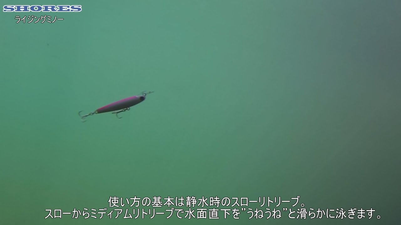 ショアーズ ライジングミノーアクション動画 Youtube