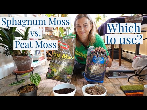 Video: Ni tofauti gani kati ya sphagnum moss na peat moss?