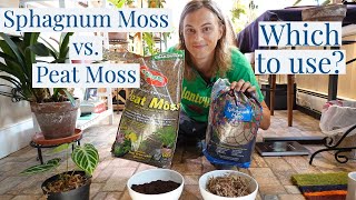 SPHAGNUM MOSS vs PEAT MOSS? Grow Your Rare Houseplants Correctly!