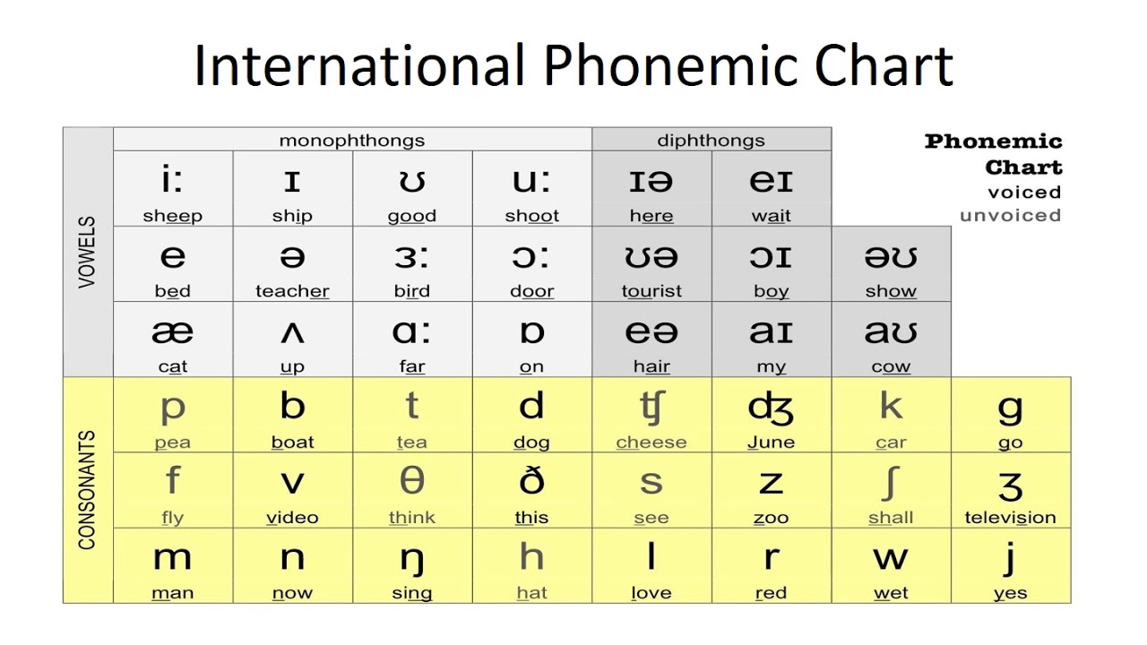 IPA Phonetic Alphabet Chart