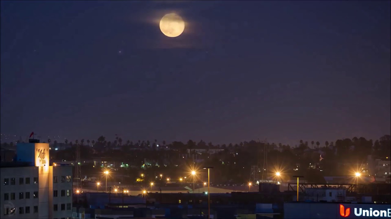 Peter Guja - Unexpected change