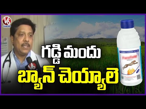 Face To Face With General Medicine Hod Dr Sunil Over Paraquat | V6 News - V6NEWSTELUGU