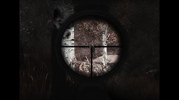 Stalker Anomaly | Mutant hunting