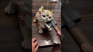 The fastest face-slapping moment in history: The dignity of mythical beasts shattered in an instant