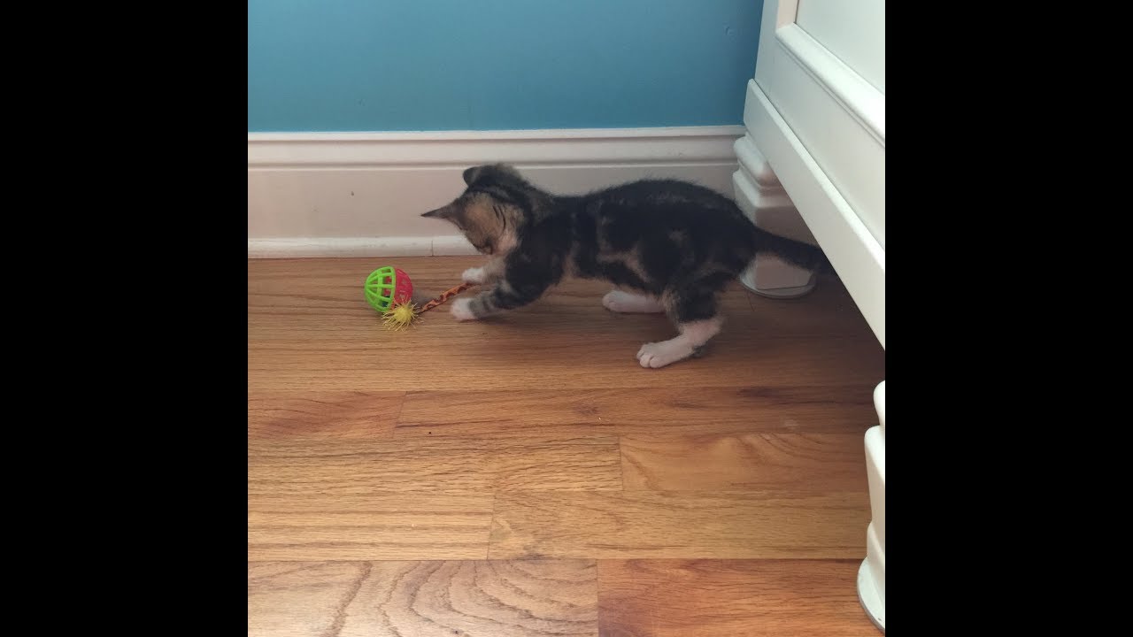 Dec 2017 The Ornament Girl Previous Kits YouTube