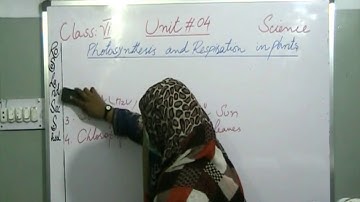 Science,Class VI,Unit#4 ,Photosynthesis and Respiration in Plants with work