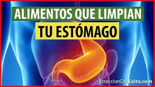 Alimentos para Limpiar el Estomago e Intestinos - Recetas Caseras y Naturales