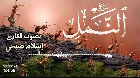 سورة النمل كاملة ،🐜🐜 اعتزل العالم واستمع🎧 _ القارئ اسلام صبحي ♥️😴
