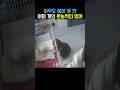 아무도 예상 못 한 어미 개의 본능적인 방어