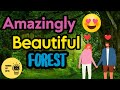 The 10 amazingly beautiful forests in the world that will catch your eye😍