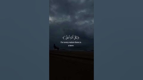قارء/#عبد الرحمن مسعد القرآن الكريم -  سورة يونس - الآية 49، (لا أملك لنفسي) ❤️💞