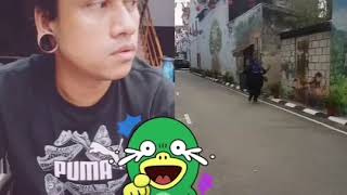 Enang tiktok