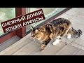 Снежный домик кошки Анфисы