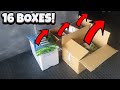 Unboxing aquarium store new stock