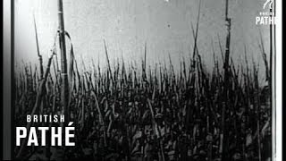 Inside Gates Of Soviet Russia 1921