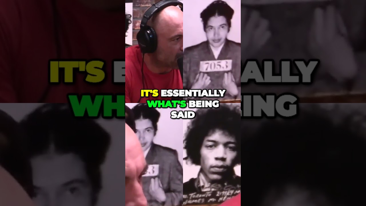 The Truth About Punching Nazis Unmasking Social Justice Warrior Circles