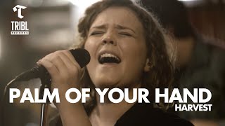 Video thumbnail of "Palm of Your Hand (feat. Harvest) | TRIBL"