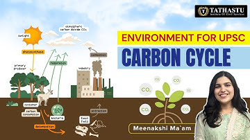 Biogeochemical Cycles|| Carbon Cycle|| Environment & Ecology Series|| Meenakshi Ma