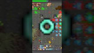The NUMBER 1 Tip for Paladins in Tibia