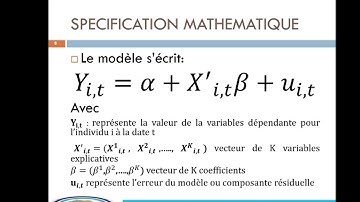 Économétrie des données de panel: de la théorie à la pratique