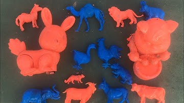 Tên con vật và rửa sạch các con vật, bò, dê, ngựa vằn, hà mã, voi, hổ, lạc đà