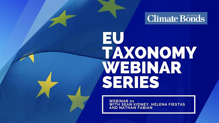 The EU TAXONOMY WEBINAR SERIES Debuts With a High-Level Conversation With EU TEG Experts!